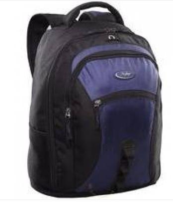 Skybags - Buy Skybags Online in India | Mynta