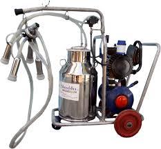 Stainless Steel Milking Machine Fixed Type