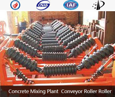 Concrete Mixing Plant Conveyor Roller