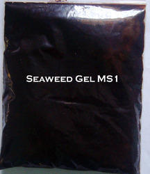 Seaweed Gel MS1