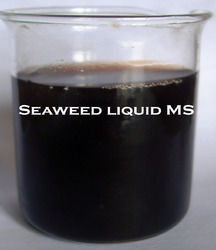 Seaweed Liquid MS