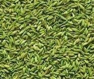 Fennel Seeds