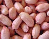 Organic Groundnuts