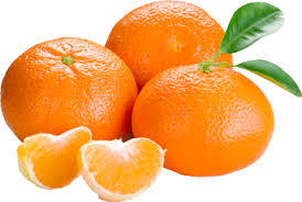 Fresh Oranges