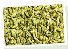 Fennel Seeds