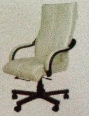 Director Chair (518)