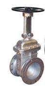 Expert Gate Valves