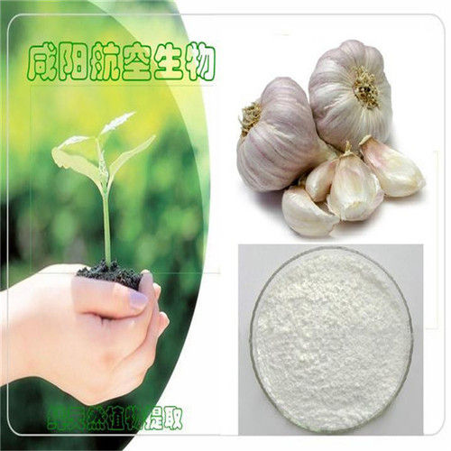 Natural Garlic Extract