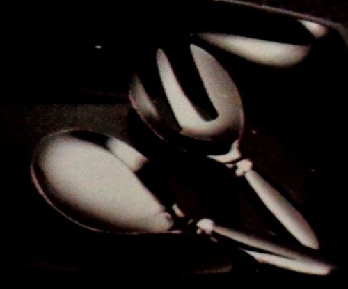 Salad Server Spoon (SS-066)