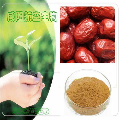 Ziziphus Jujube Extract