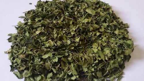 Pure Moringa Leaves