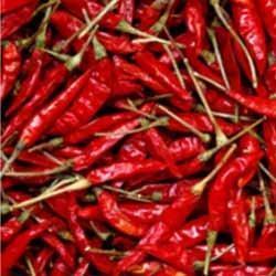 Dried Red Chilli