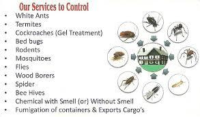 DISHA Pest Control Services