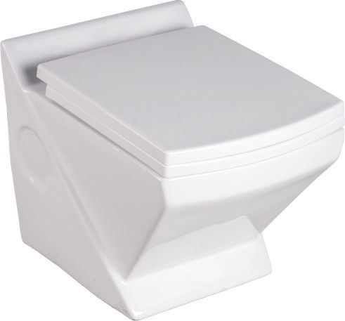 Residential Wall Mounted Toilet