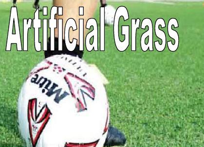 Artificial Grass