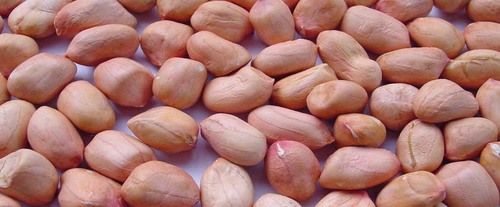 Groundnut Seeds