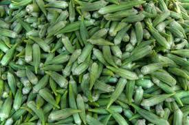 Okra