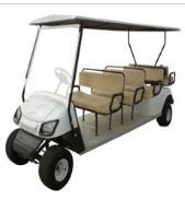 Golf Cart Vehicle (Traveller-16)