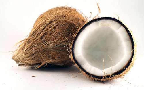 Fresh Matured Coconut