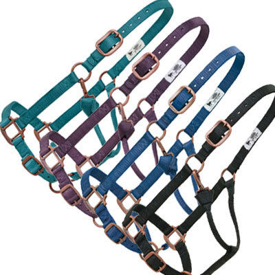 Nylon Halters