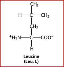 Caffeine Anhydrous