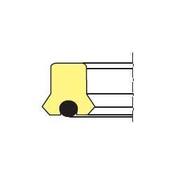 Piston Symmetric Seals