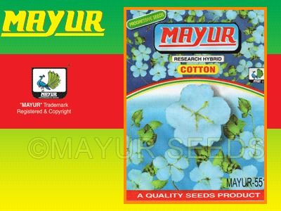 Mayur 551 Cotton Seeds