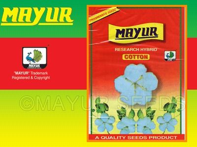 Mayur-817 Cotton Seeds