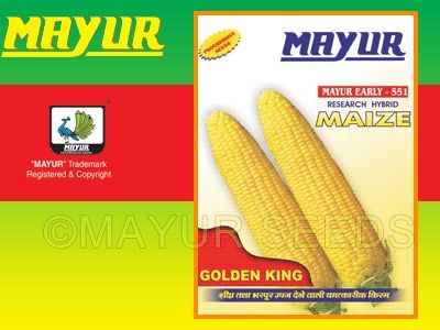 Mayur F-1 Hybrid Yellow Maize Seeds