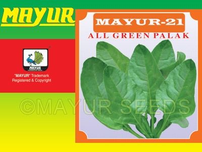 Mayur Spinach Seeds - 21