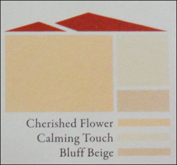 Cherished Flower Decoration Paint