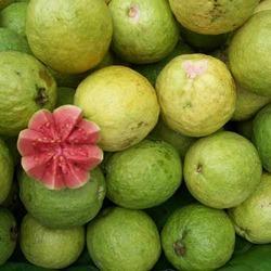 Guava Powder And Flakes