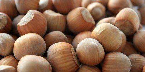 Hazelnuts