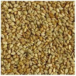 Natural Sesame Seeds