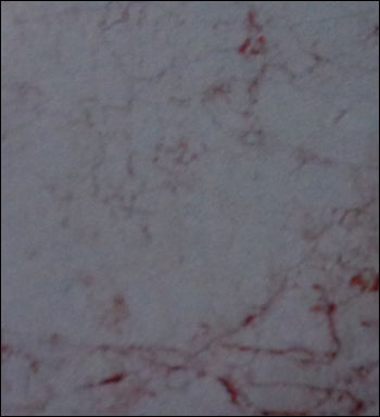 White Imported Marble