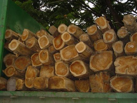 Polyester Teak On Logs Squares And Planks