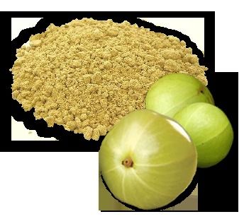 Amla Powder