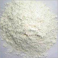 Onion Powder