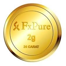 2G Hallmark Gold Coin (24 Carat)