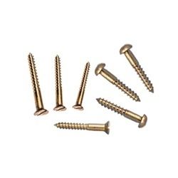 Tayal Brass Screws