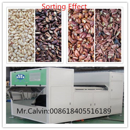 coffee bean Color Sorter