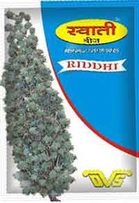 Riddhi Hybrid Castor Seeds