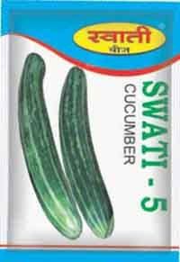 Cucumber Seeds Swati-5