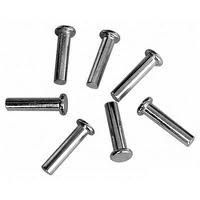 Industrial Flat Head Rivets