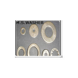 MS Washers