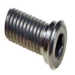 Hollow Screw