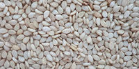 Hulled Sesame Seeds Auto Dry And Sundry