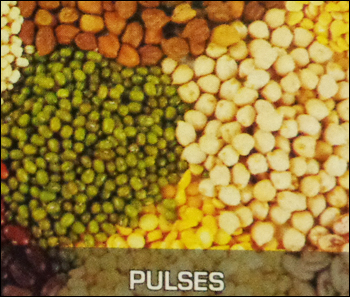 HUSSIAN & LUCKY Pulses