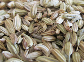 Fennel Seed