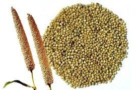 Millet Seeds